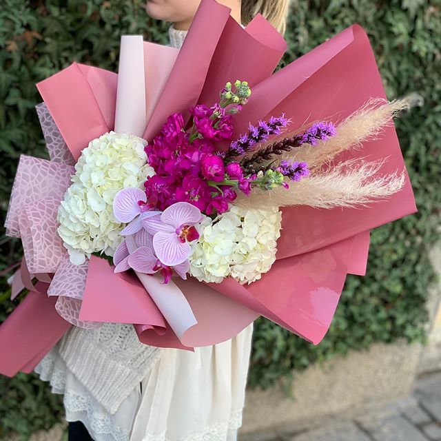 Orhideja u punom sjaju