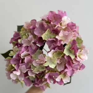 Vestacka hortenzija